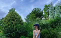 皇上我不爱你了